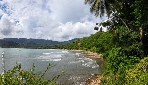 Coastal idyll, bay with tropical palm trees and golden sand in Costa Rica