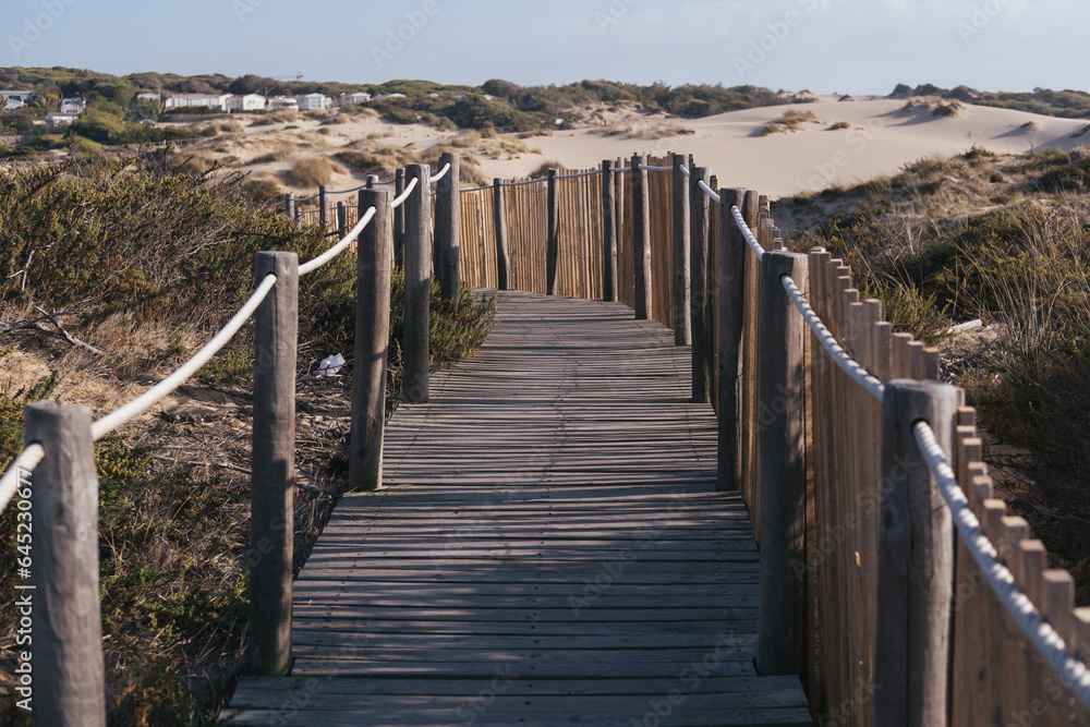 Fototapeta premium wooden walkway bridge in dunes by the ocean in Portugal