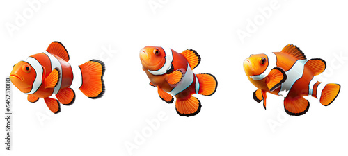 animal clownfish illustration sea nature, tropical underwater, wildlife clown animal clownfish