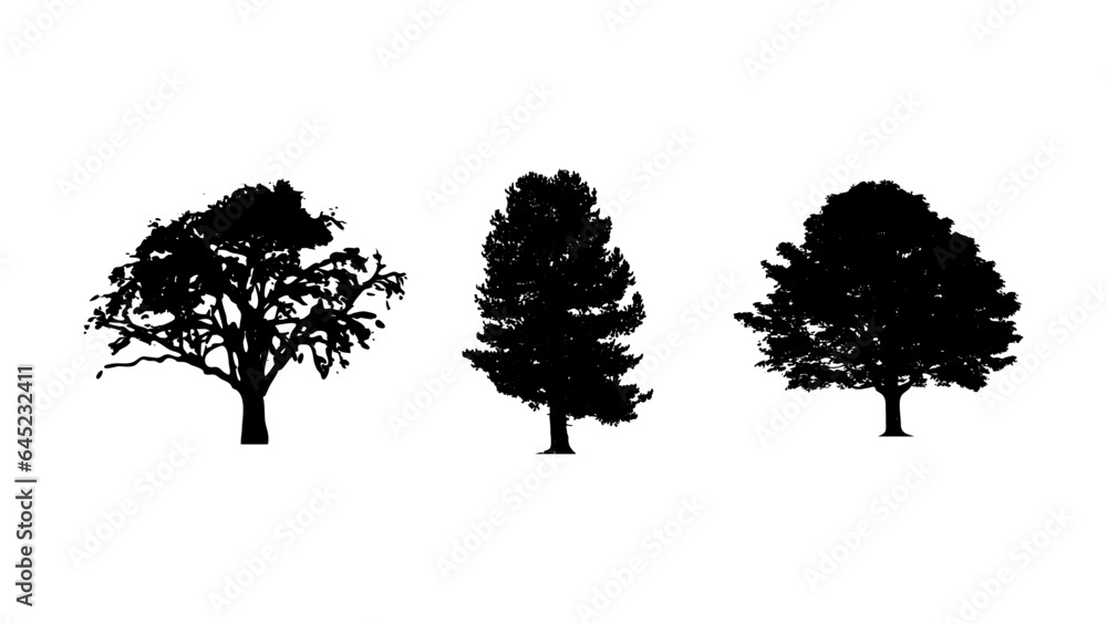 Fototapeta premium Zestaw sylwetek drzew na białym tle