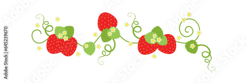 Branch of strawberry plant with berries, leaves and flowers