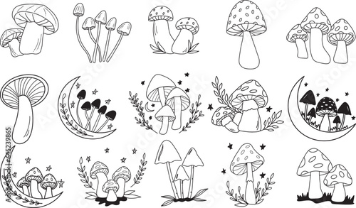 Set of hand drawn mushroom illustrations, Collection of magical plants. Witchcraft items. Mystical elements. Vector illustration of halloween object.
