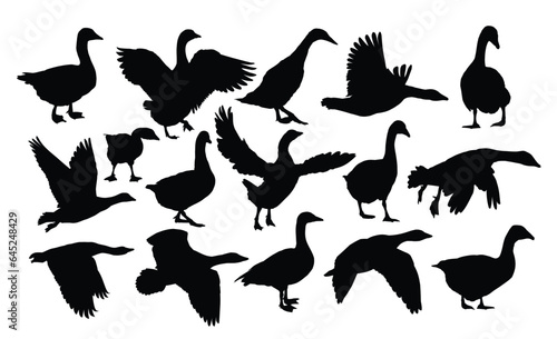 The set silhouettes of geese. 