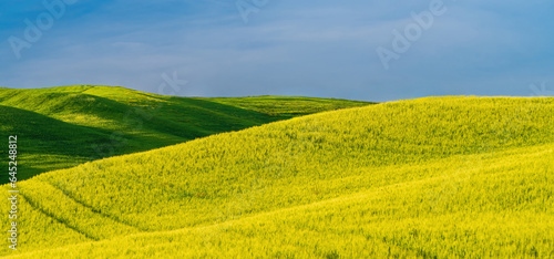 Green tuscan hills in the Orcia Valley in spring