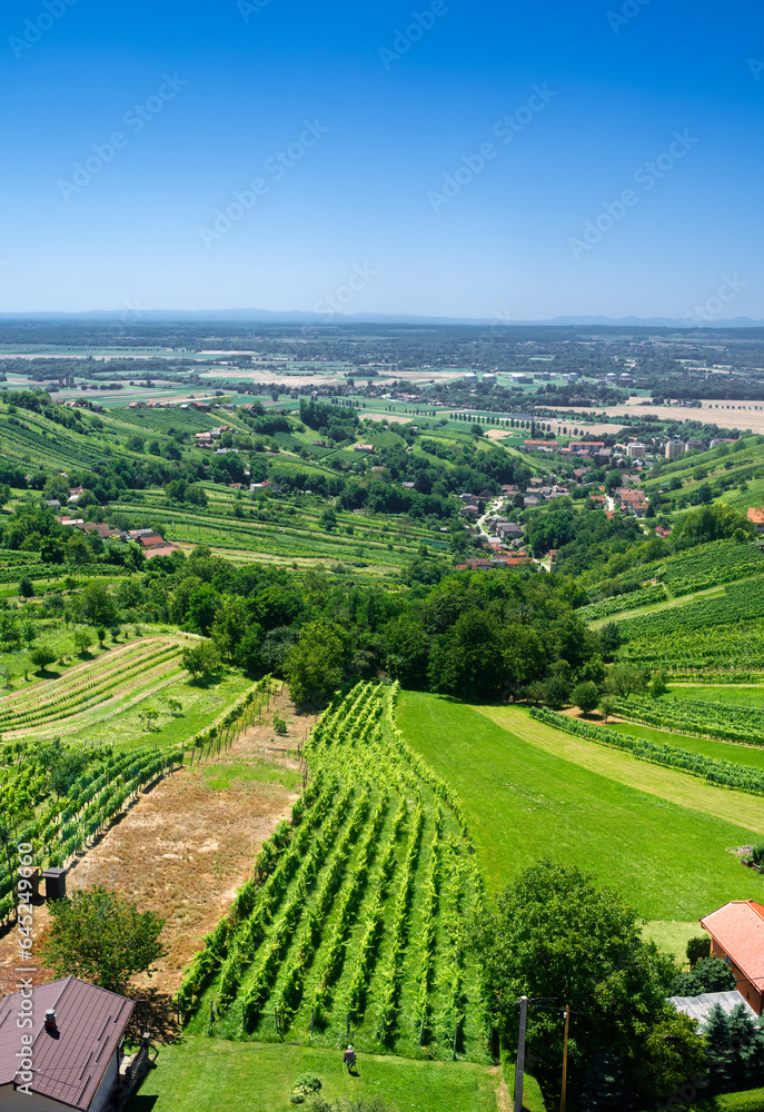 The view from the Vinarium observation tower on the Lendava vineyard region, Slovenia