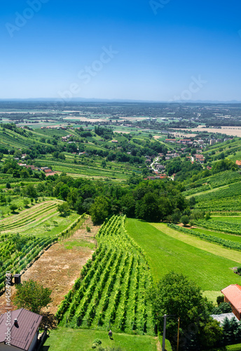 The view from the Vinarium observation tower on the Lendava vineyard region  Slovenia