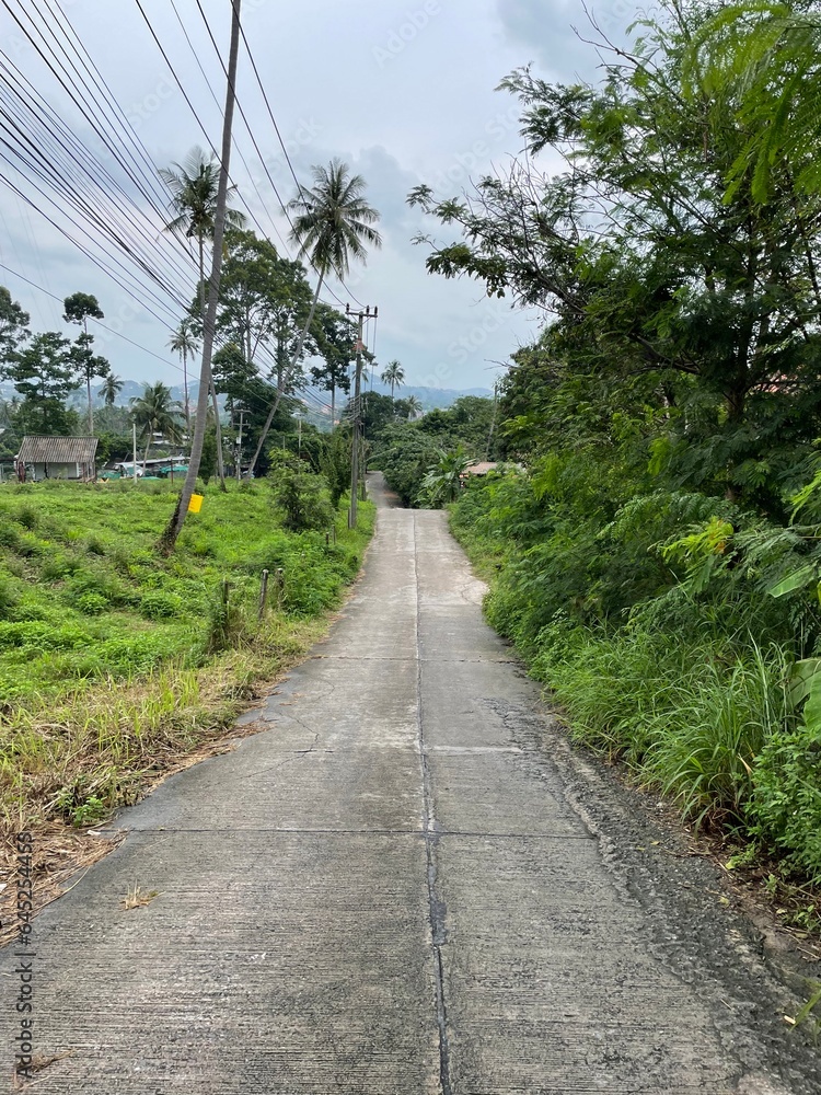 Deserted concrete road and poles with many wires in the countryside among the tropical thickets