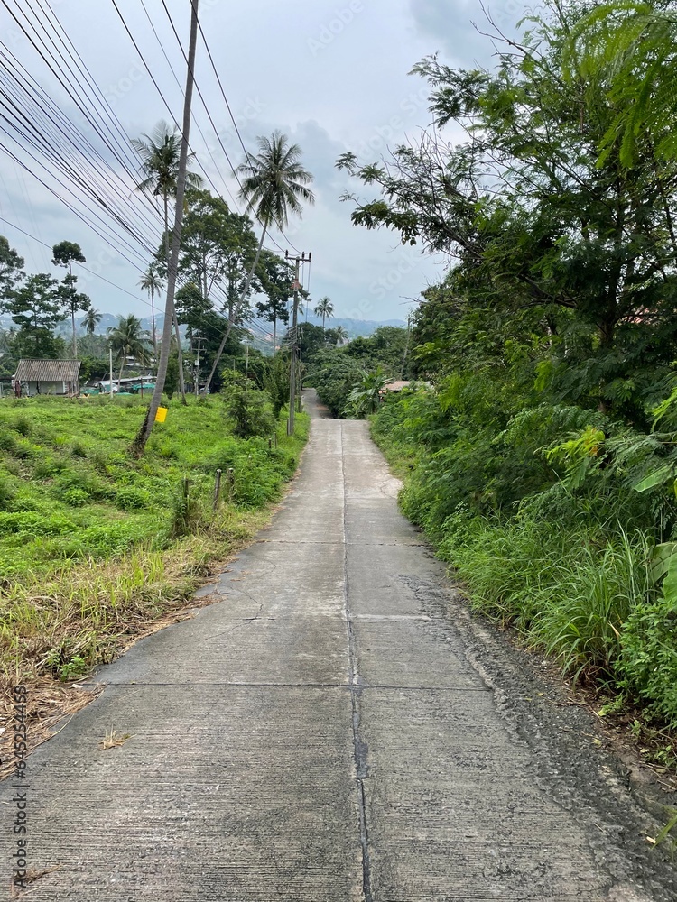 Deserted concrete road and poles with many wires in the countryside among the tropical thickets Deserted concrete road and poles with many wires in the countryside among the tropical thickets
