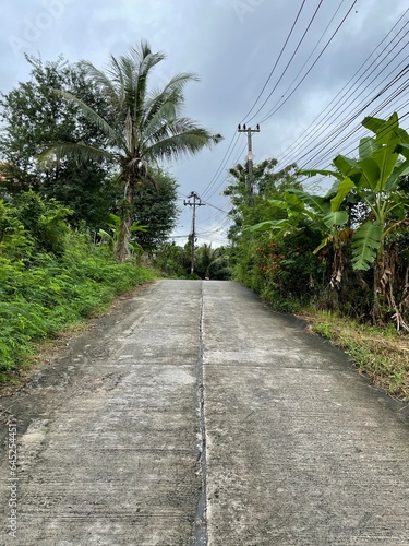 Deserted concrete road and poles with many wires in the countryside among the tropical thickets
