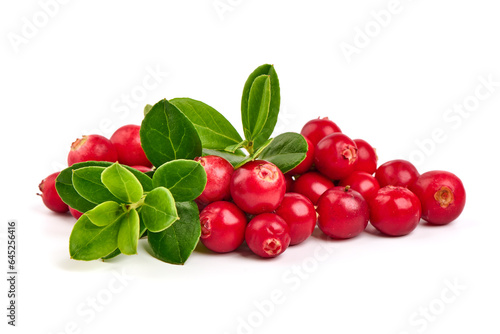 Fresh wild lingonberry berries with leaves, isolated on white background.
