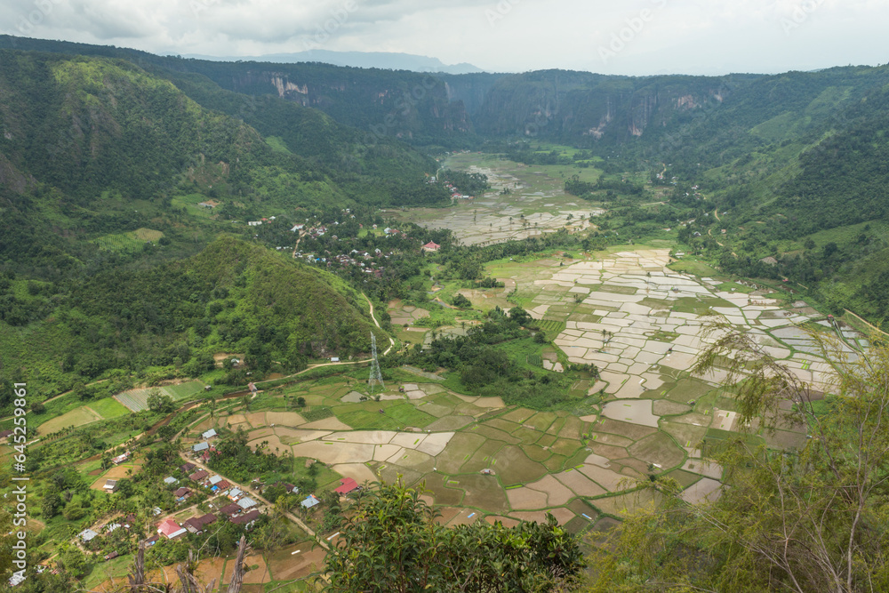 View over rice fields in Harau Valley Sumatra Indonesia