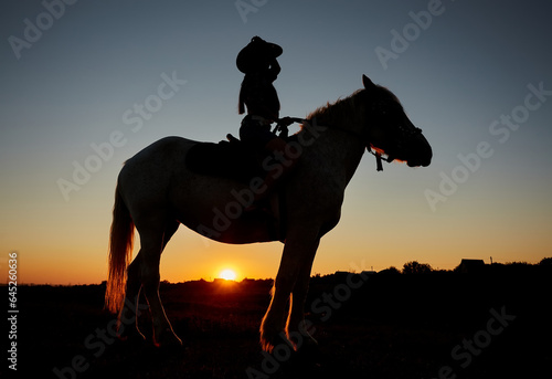 Horseback woman riding on galloping horse with red rising sun on horizon. Beautiful sunset header background with equine and girls silhouette.