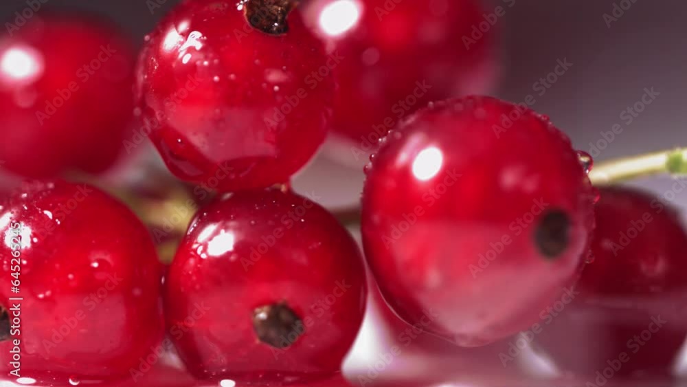 Close-up view of Falling Red Currant Berries on white plate Close-up view of Falling Red Currant Berries on white plate