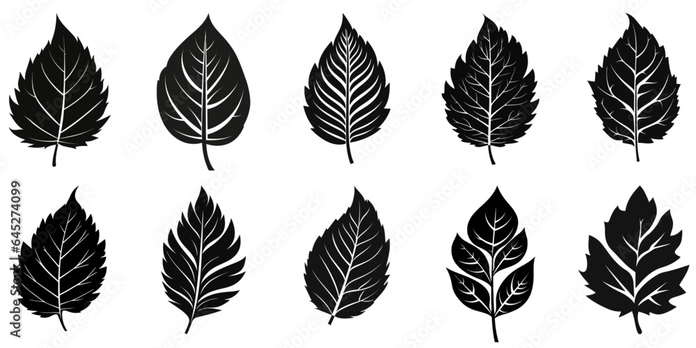 Leaf black icon. Leaf icons set. Icons of different leaves. Leaf black icon. Leaf icons set. Icons of different leaves.