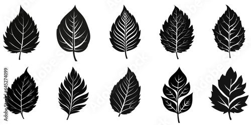 Leaf black icon. Leaf icons set. Icons of different leaves.