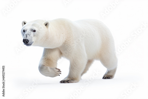 a polar bear walking across a snow covered field