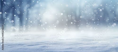 Photographie Schneeidylle: Winterlandschaft verhüllt im Schneegestöber