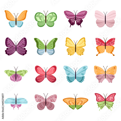 Set of color butterflies on white background  vector illustration