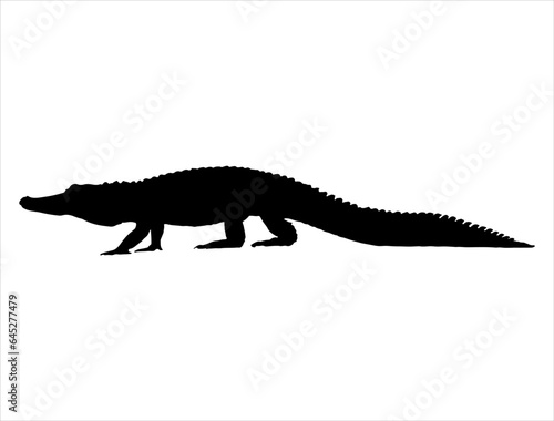 Alligator silhouette vector art white background