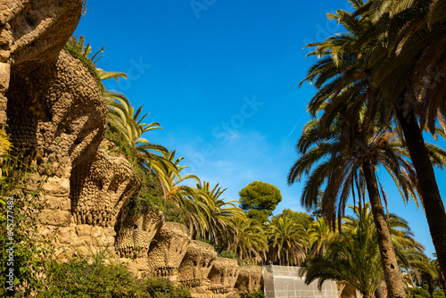 Park in Barcelona called Park Guell palm alley in Catalonia, Spain. High quality photo