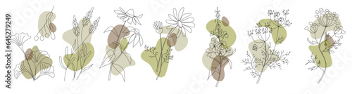 Collection of healing medical herbs gingko, linden tree, lavender, echinacea, chamomile, willow herb, fennel, anise in modern line style with abstract shapes on background. Herbal set.