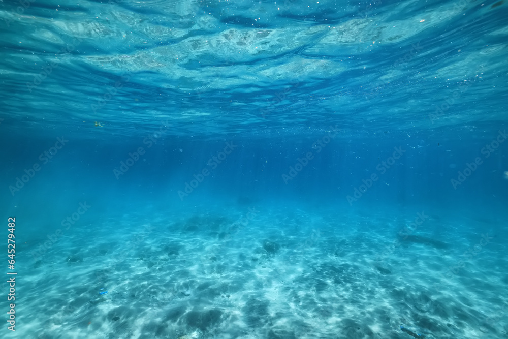 Obraz premium texture ocean floor background underwater surface