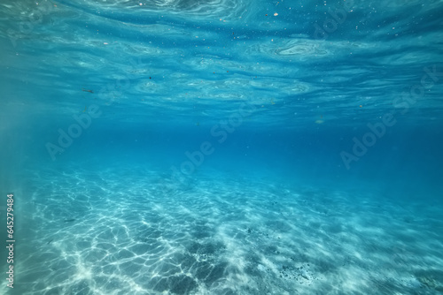 underwater photo blue background panorama ocean surface and bottom of the sea © kichigin19