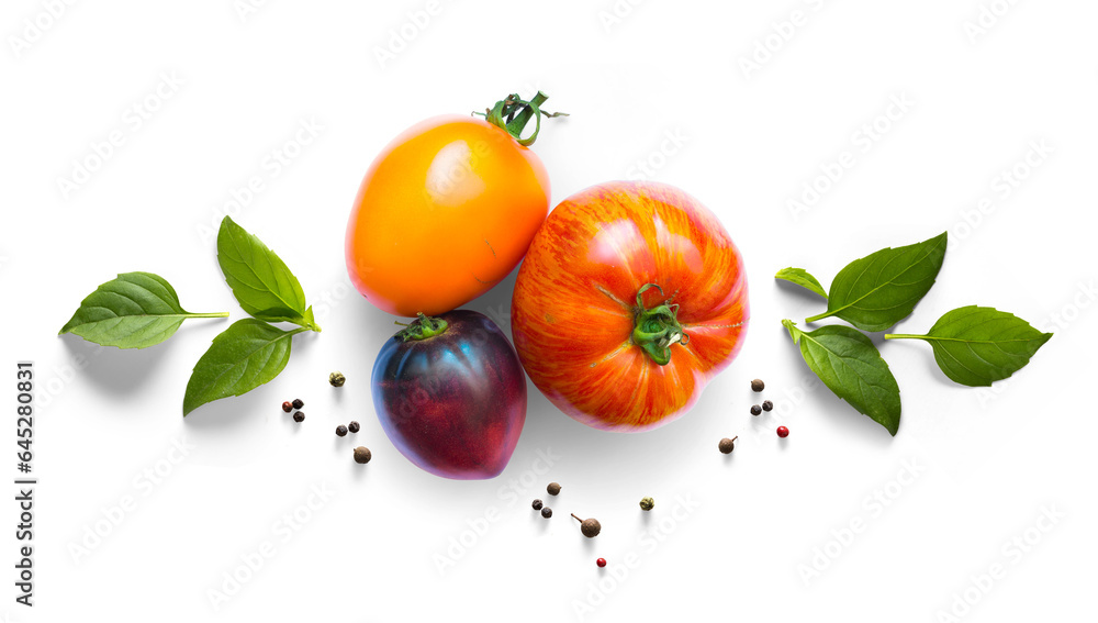 Collection of fresh organic tomatoes and basil herb leaves. mediterranean salad with basil herbs and tomato on a white table. PNG Food background design element with real transparent shadow on transpa - obrazy, fototapety, plakaty 