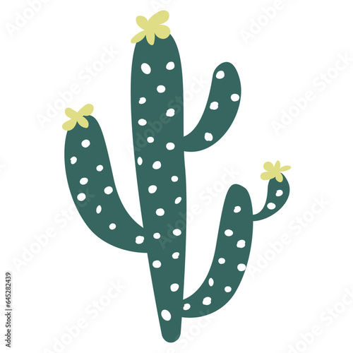 Cactus flat illustration