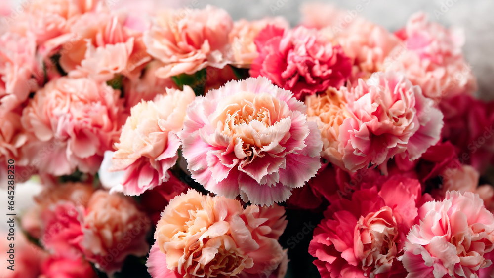 Carnations:
Carnations are versatile flowers that come in various colors, each carrying a different meaning. Carnations: Dianthus caryophyllus (clove pink).