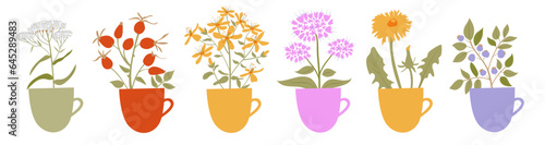 Healing medical herbs in cup for herbal tea pack design or menu. Rose hip, Tutsan or Shrubby St. John's Wort, dandelion, oregano, yarrow, blueberry Vector flat illustratio.n