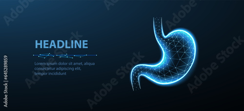 Abstract wireframe stomach illustrration. Stomach anatomy, 3D gastroenterology