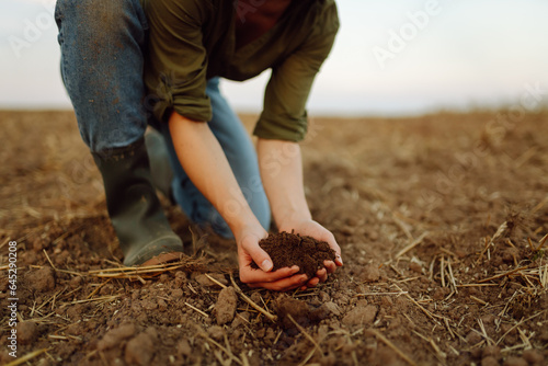 Soil in the hands of a woman farmer. The experienced hands of the female farmer check the health and quality of the soil before sowing. Ecology, agriculture concept.