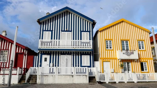 Cat strolling in front of colorful houses in Costa Nova, Portugal