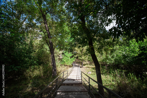 Picturesque staircase with iron railings in the city park. Image for your creative design or illustrations about nature and leisure.