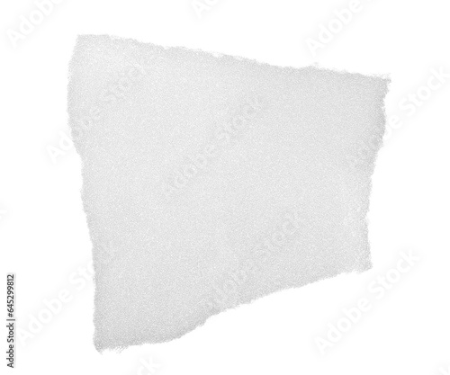 Slika na platnu Piece of flat sponge protect for wrapping isolated on white, clipping