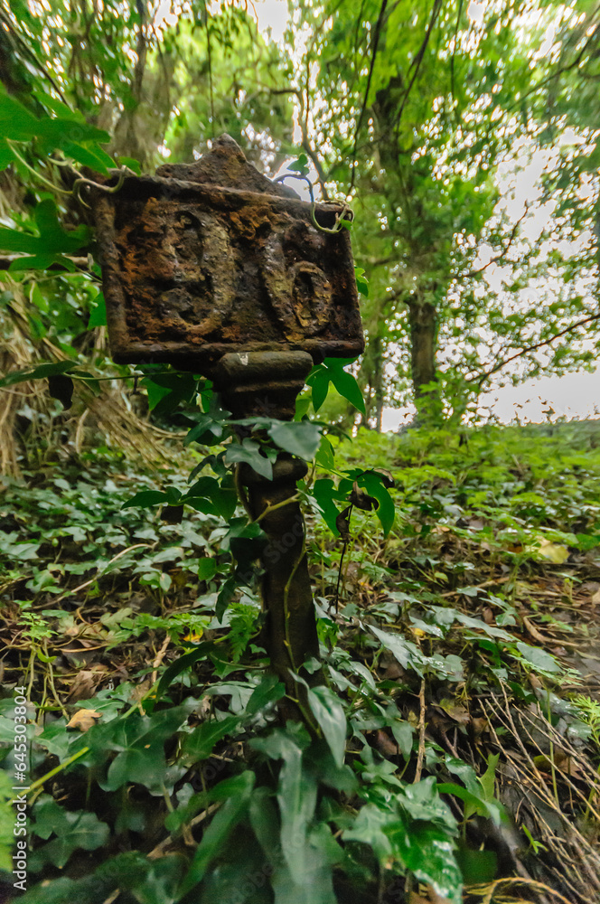 Iron grave number marker in an overgrown old graveyard Iron grave number marker in an overgrown old graveyard