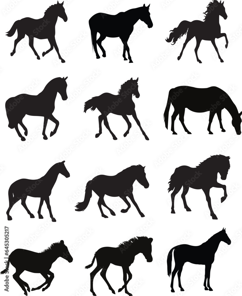 Obraz premium Horse Silhouette Vector Pack