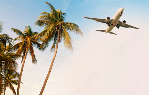 Canvas Print commercial aircraft Fly past coconut trees