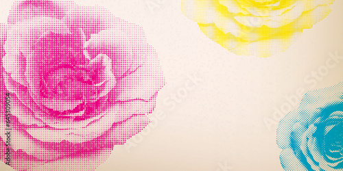 Rose flowers halftone screen CMYK colors transparent with riso print effect vector illustration on old paper background have blank space. Valentine's day greeting card template.