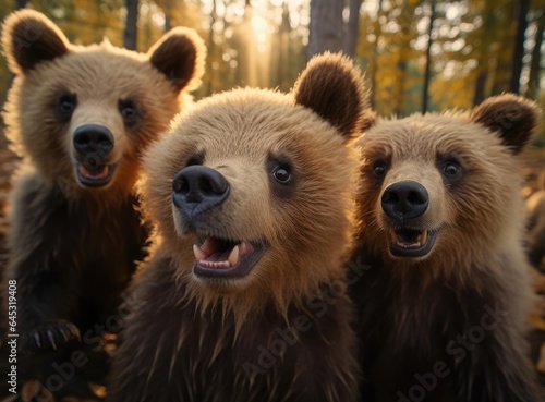 A group of bear cubs looking at the camera