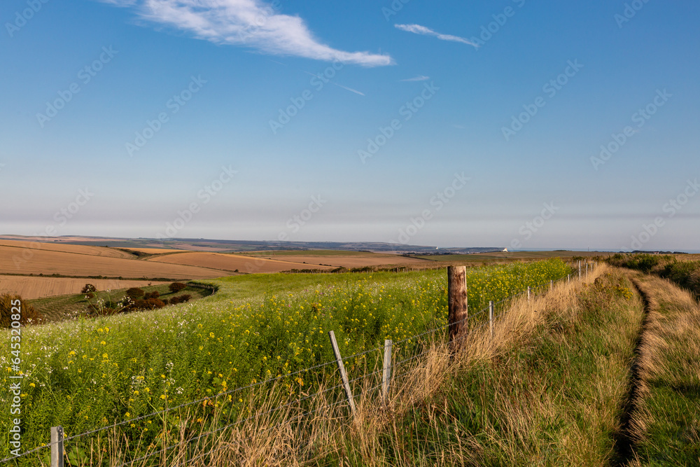A pathway alongside farmland in the South Downs, with a distant view of the chalk cliffs at the coast and a blue sky overhead