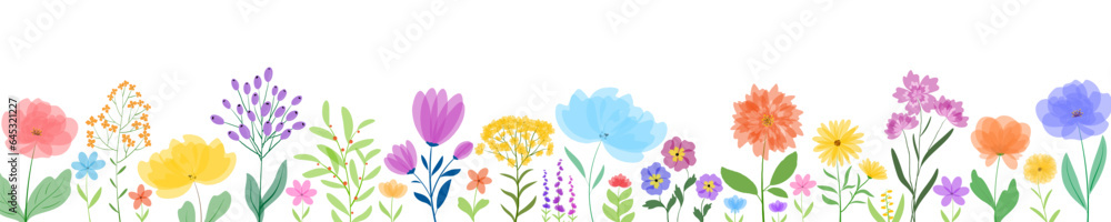 Horizontal banner with flowers. Spring flowering plants on a white background. Floral backdrop with summer wildflowers. Glade of beautiful herbs. Vector illustration.