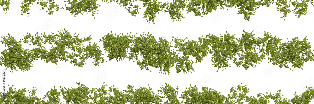 Green Plant Stripes - Transparent PNG Green Plant Stripes - Transparent PNG