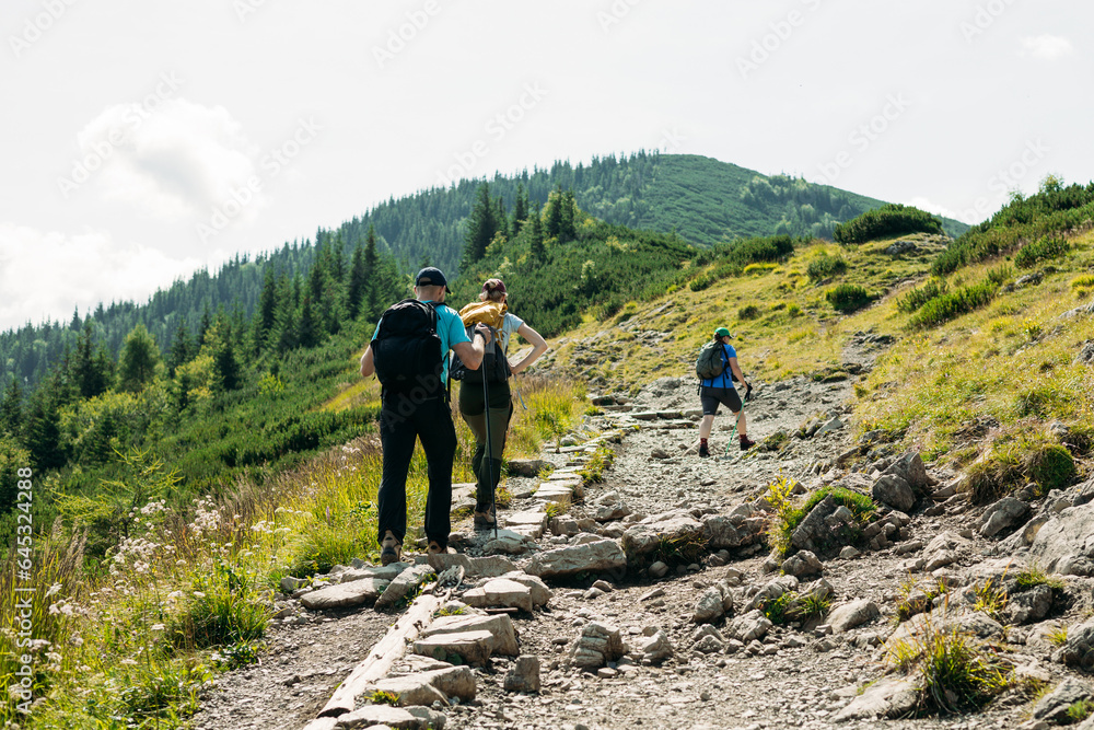 Group of hikers walking in mountains. Travel and active lifestyle concept, outdoor activities, full body