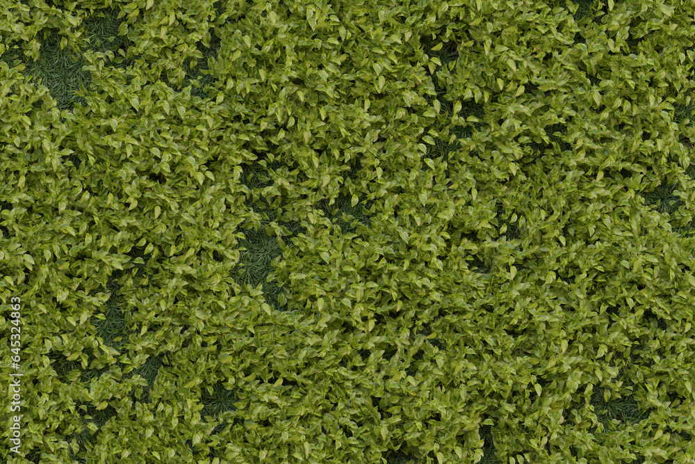 Green Wall & Plants Textures - Backgrounds