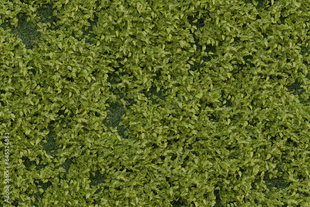 Green Wall & Plants Textures - Backgrounds Green Wall & Plants Textures - Backgrounds