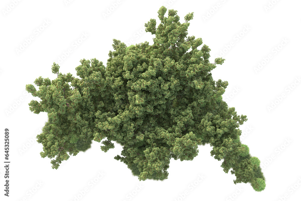 Realistic forest isolated on transparent background. 3d rendering - illustration Realistic forest isolated on transparent background. 3d rendering - illustration