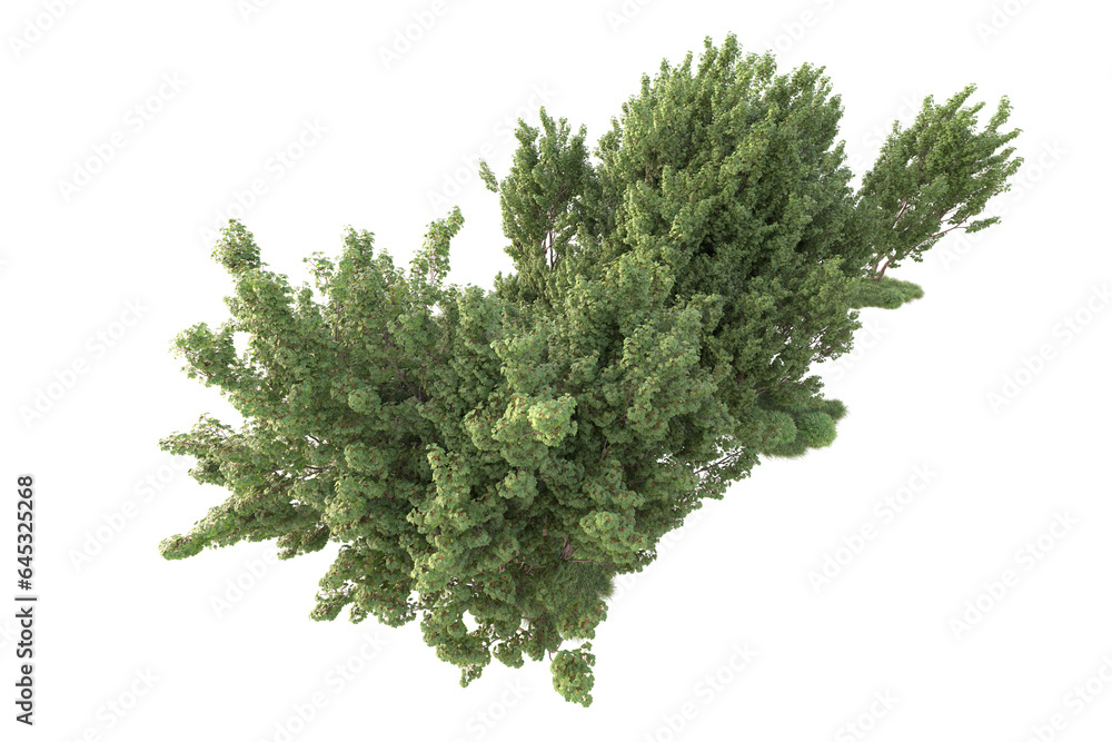 Obraz premium Realistic forest isolated on transparent background. 3d rendering - illustration