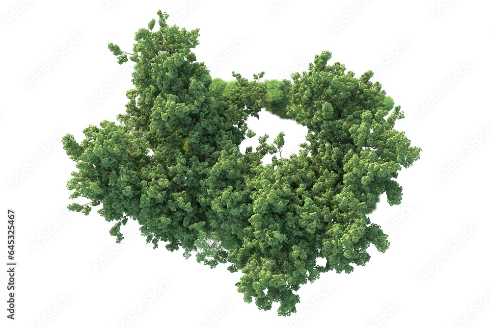 Obraz premium Realistic forest isolated on transparent background. 3d rendering - illustration